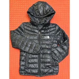 The North Face “Summit Series” Winter Coat